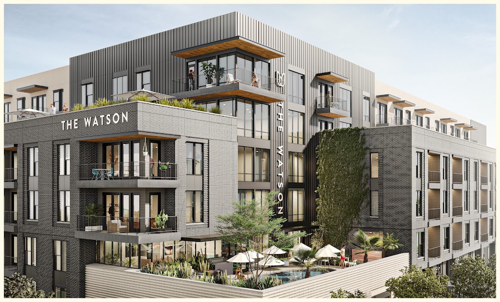 The Watson